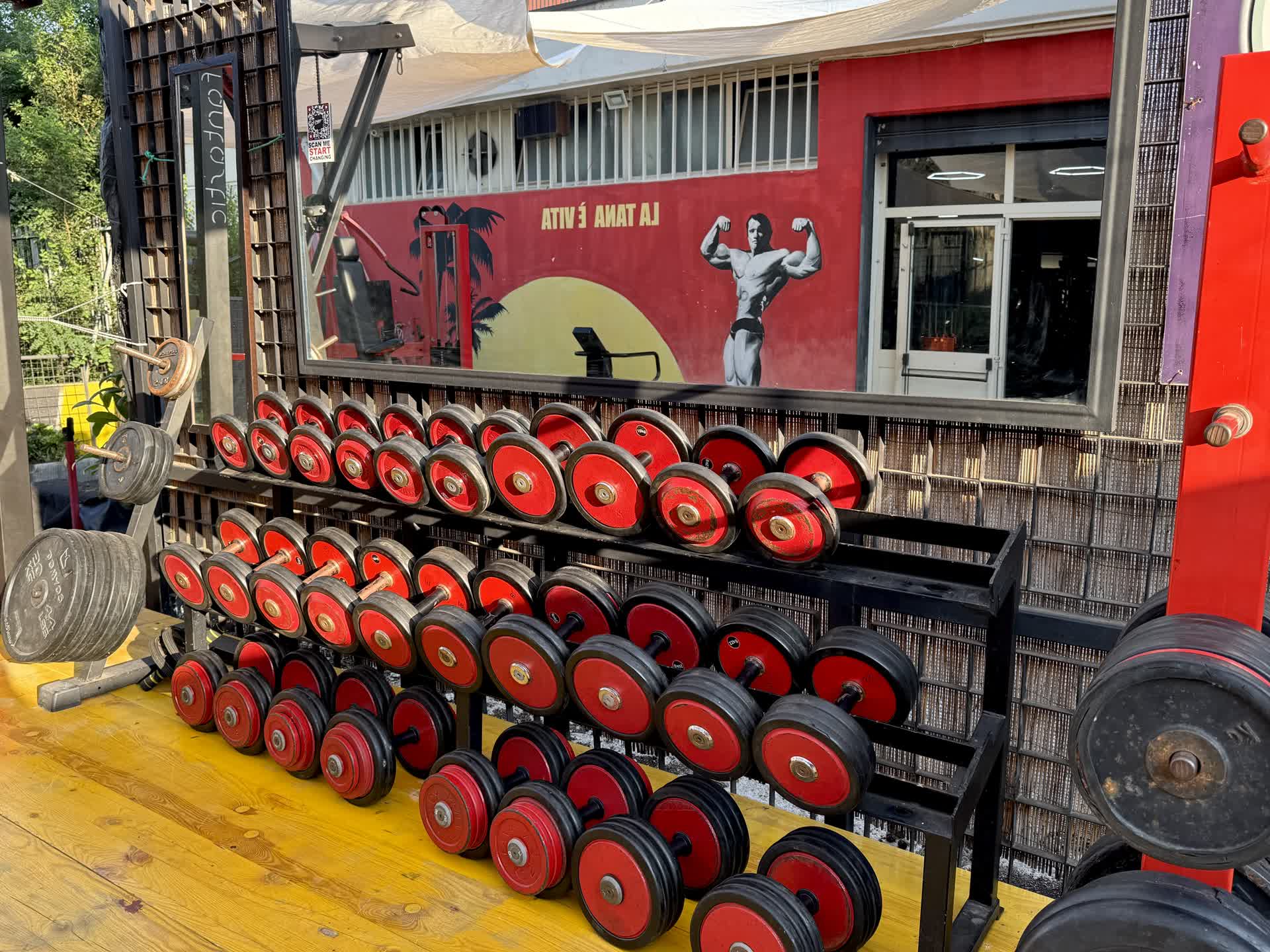 Planet Gym — rastrelliera di manubri rossi nella sala outdoor