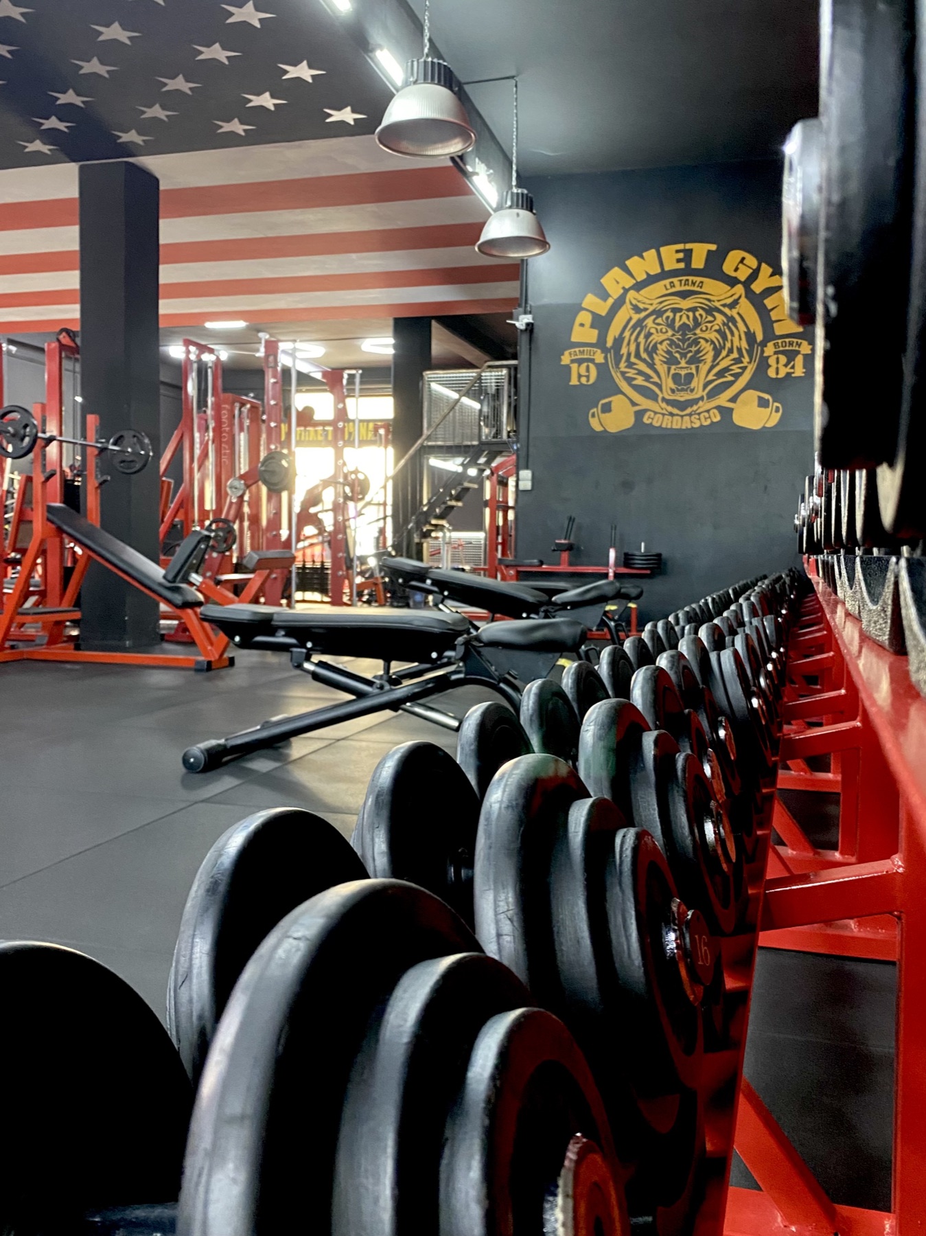 Planet Gym — rastrelliera di manubri davanti al murale con la tigre